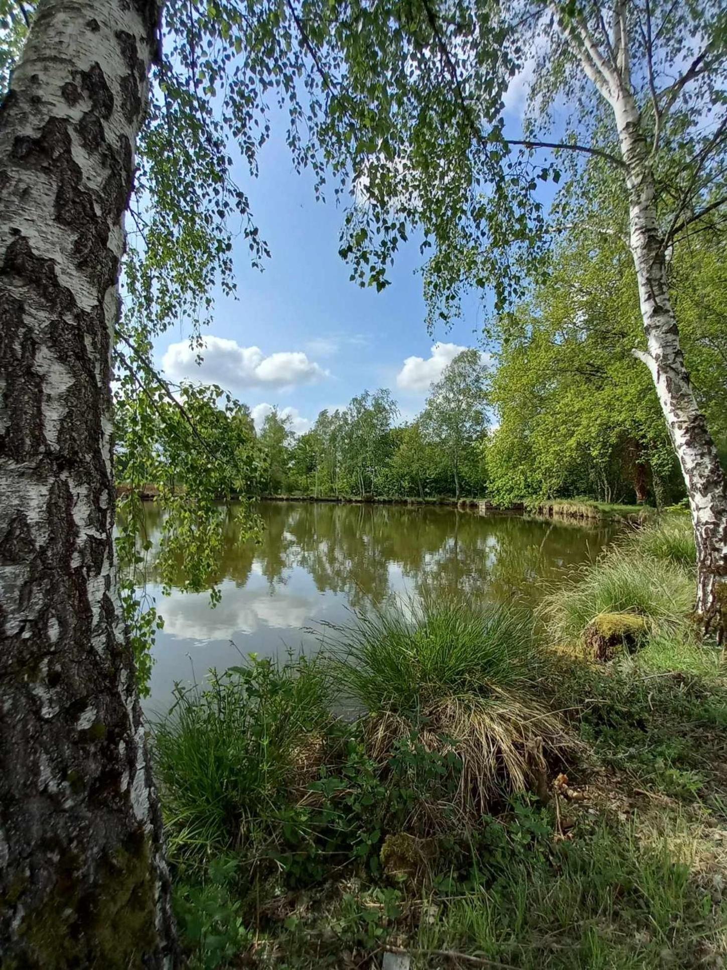 Le Chalet Limousin Folles Ngoại thất bức ảnh